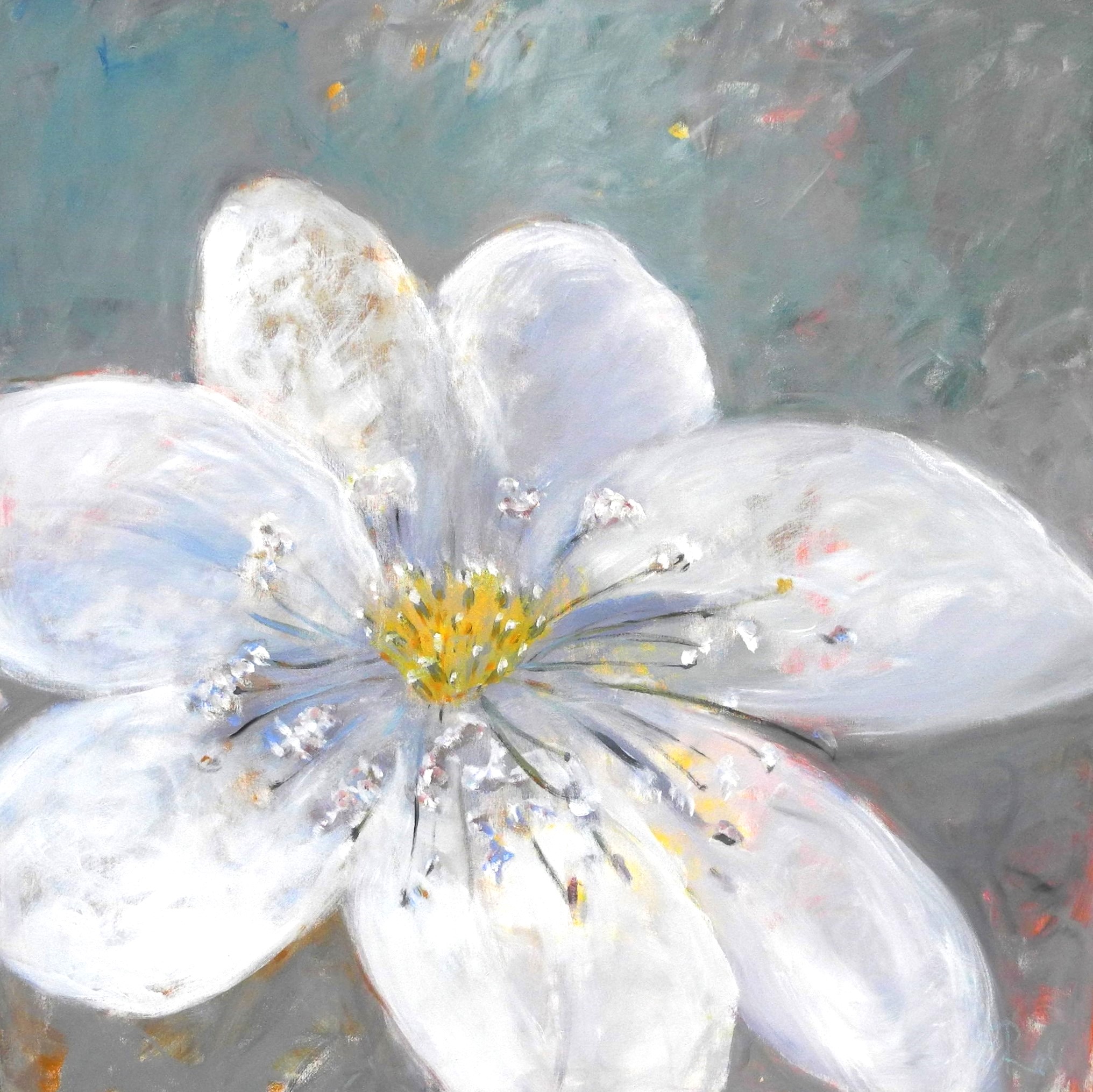 Anemone Anemone von Rossmöller-Schmidt, Nika