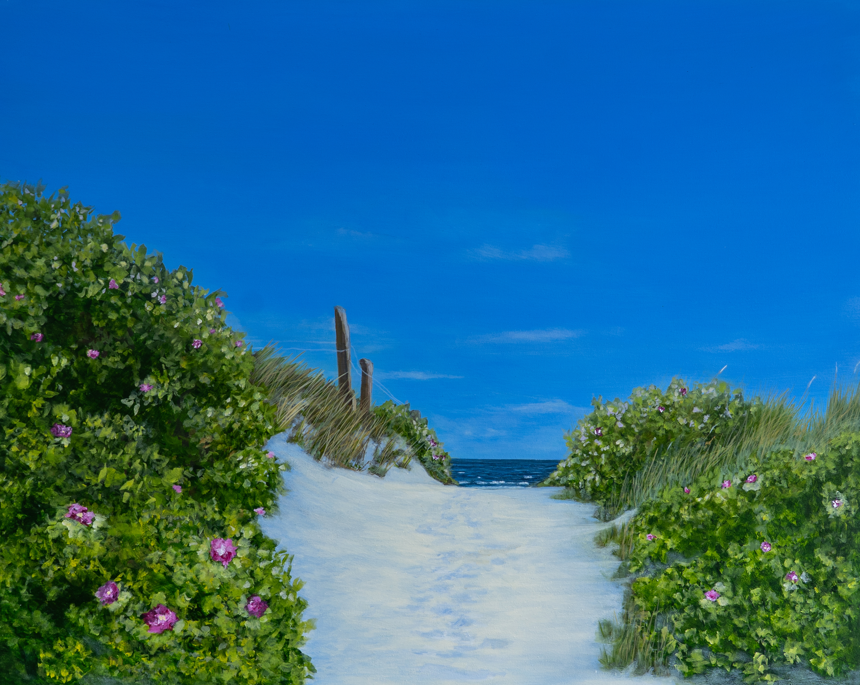 Dünenweg  von Wölwer, Sabina