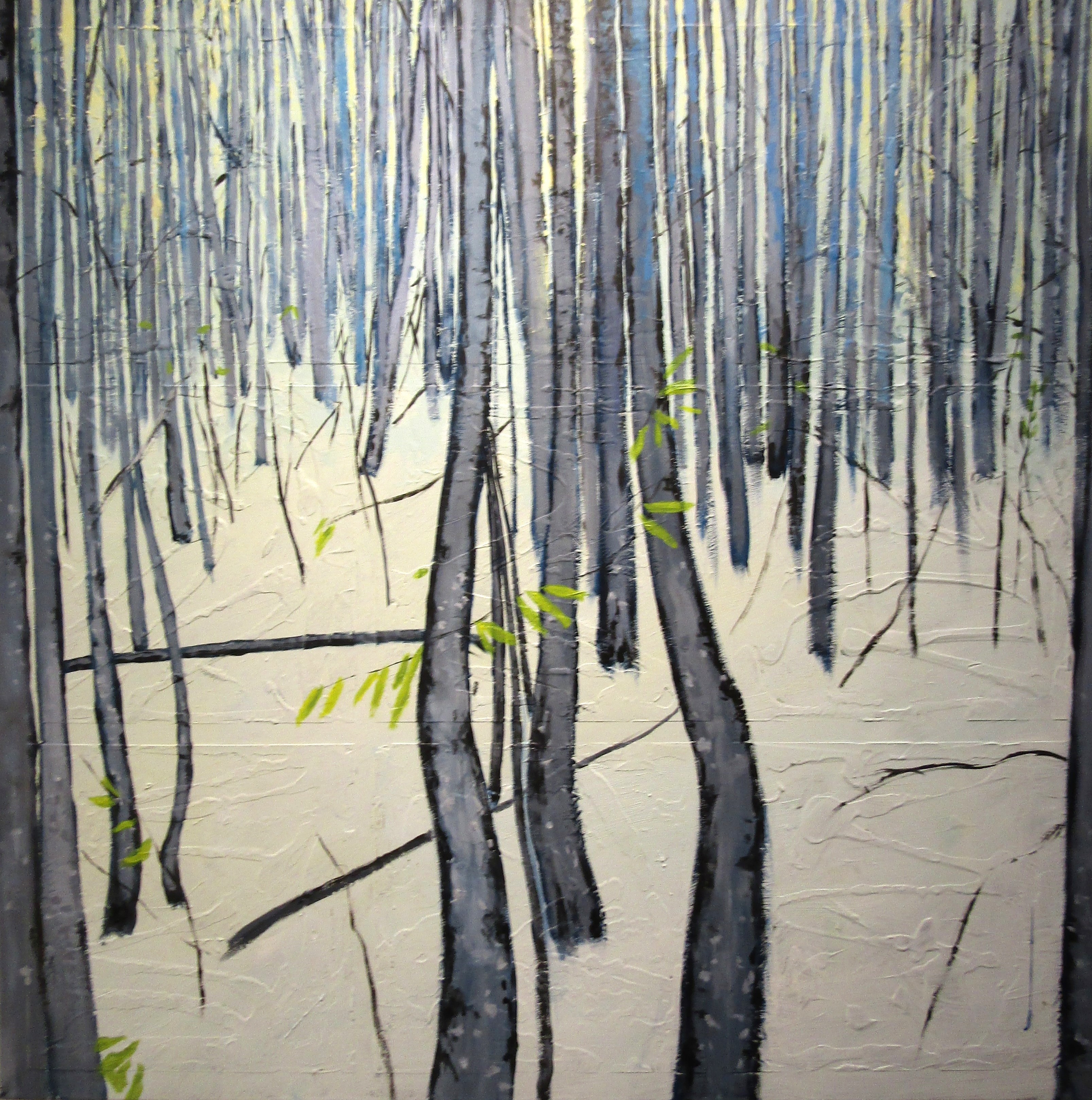 Birkenwald  von Albin Rebuz