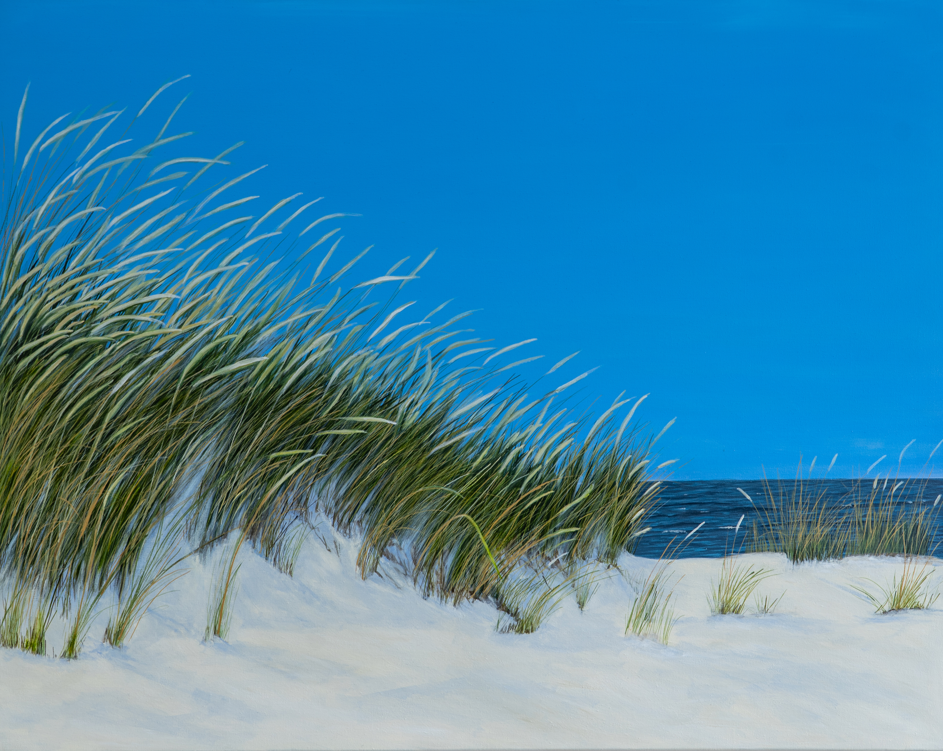 Sommer in den Dünen von Wölwer, Sabina