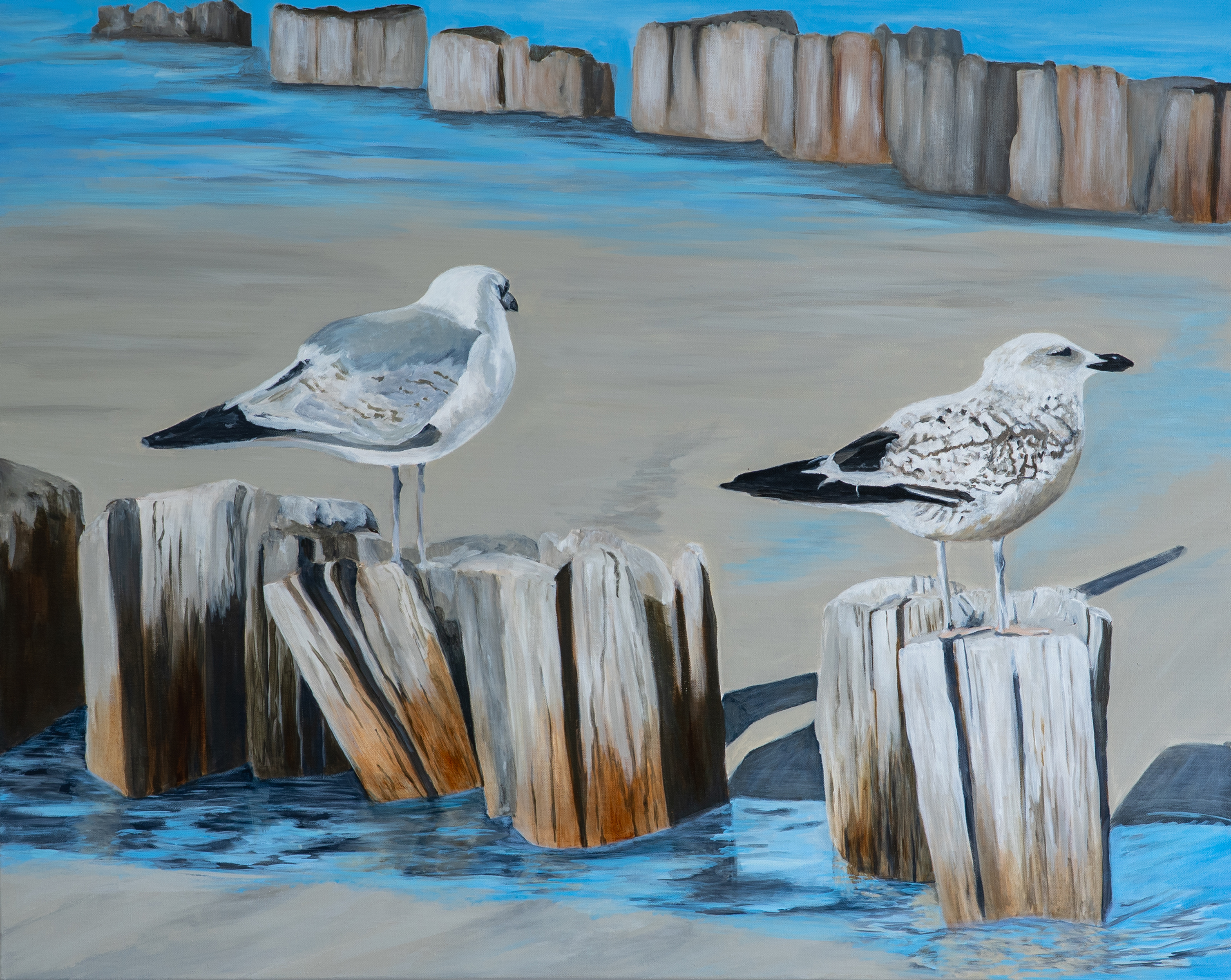 Möwen von Wölwer, Sabina