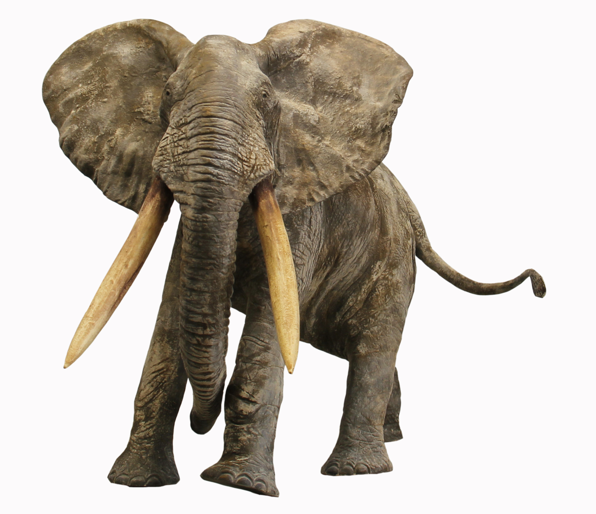 PREMIER AVERTISSEMENT von Vandenberghe, Francois