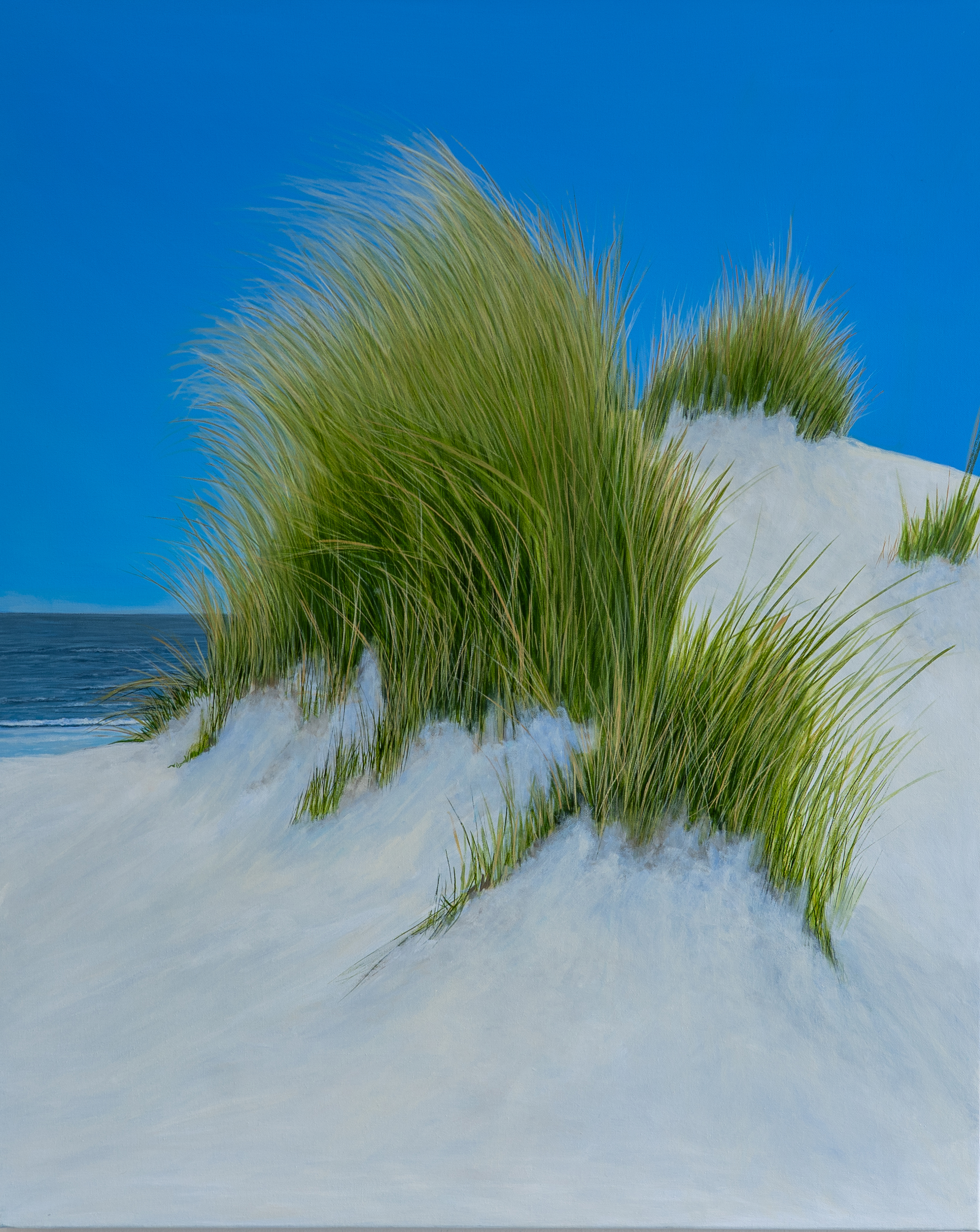 Ruhe in den Dünen von Wölwer, Sabina